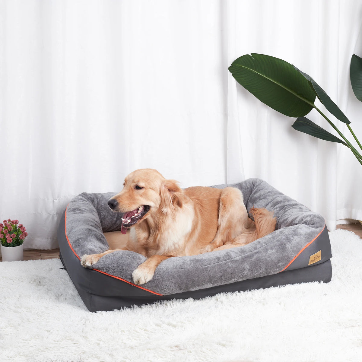 Bingopaw Large Soft Anti Allergy Washable Dog Bed With Removable Cover