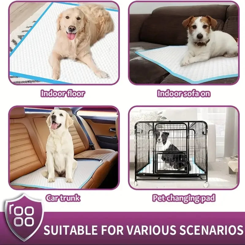 Premium Disposable Dog Training Pads Super Absorbent Leak Proof Design