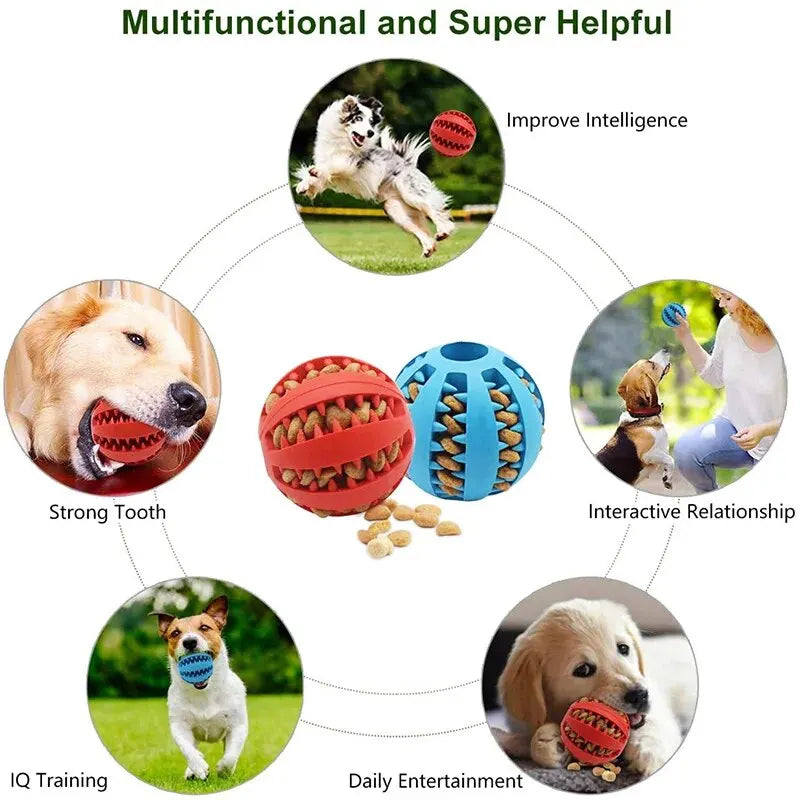 Nontoxic Rubber Dog Toy Ball Bite Resistant Chew Toy