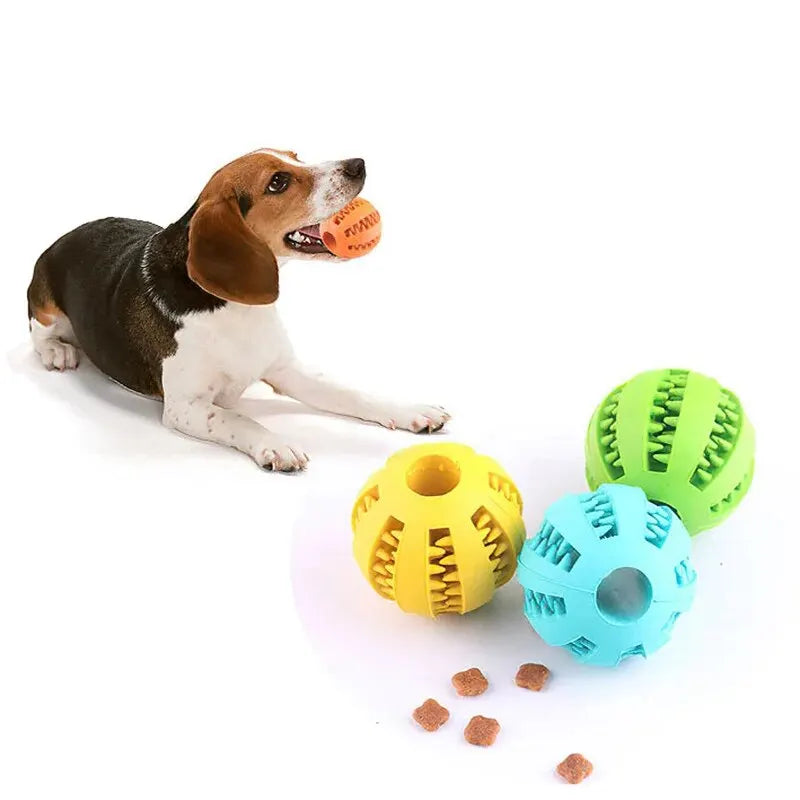 Nontoxic Rubber Dog Toy Ball Bite Resistant Chew Toy