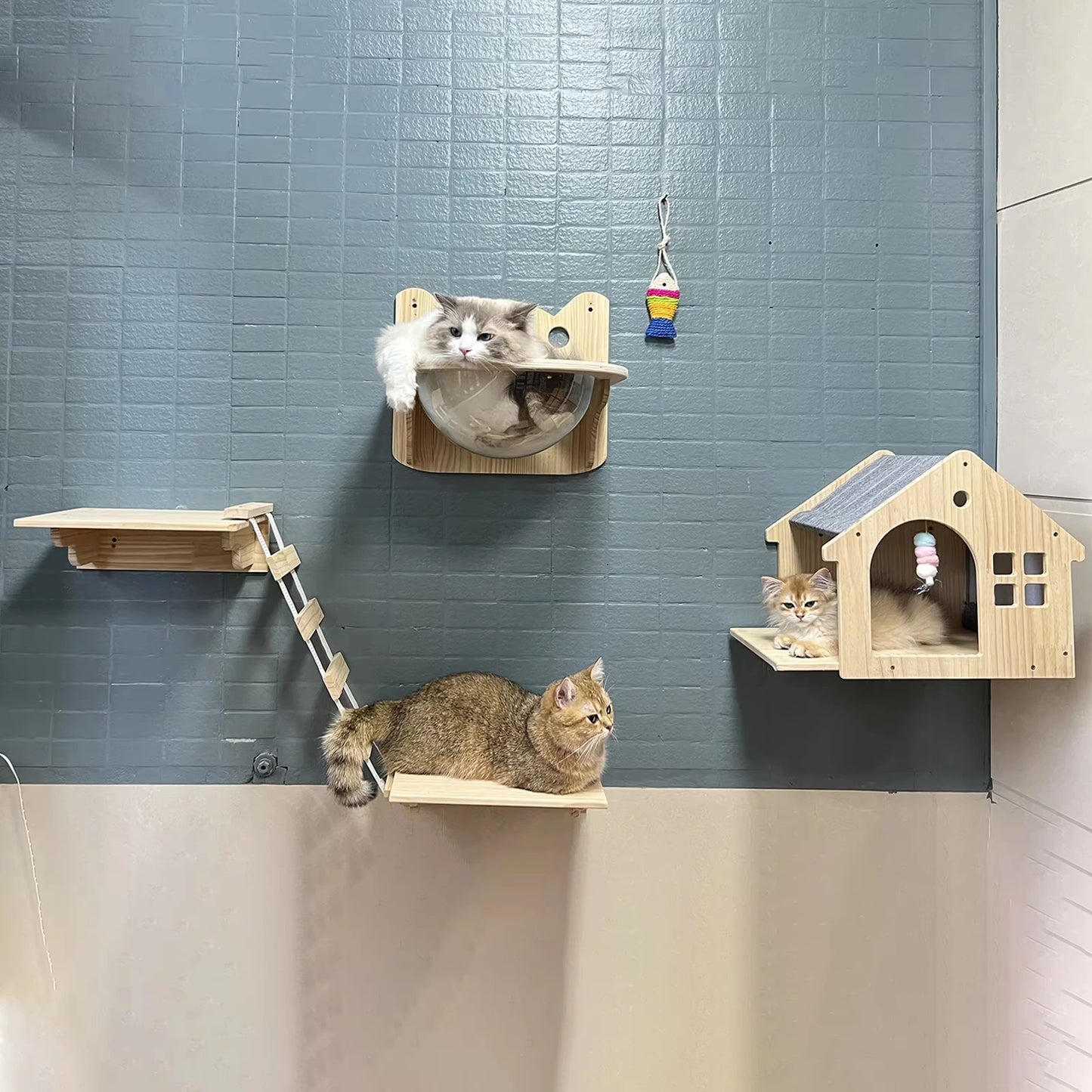 Wall Mounted Cat Condo Villa Wooden Cat Shelf For Sleeping