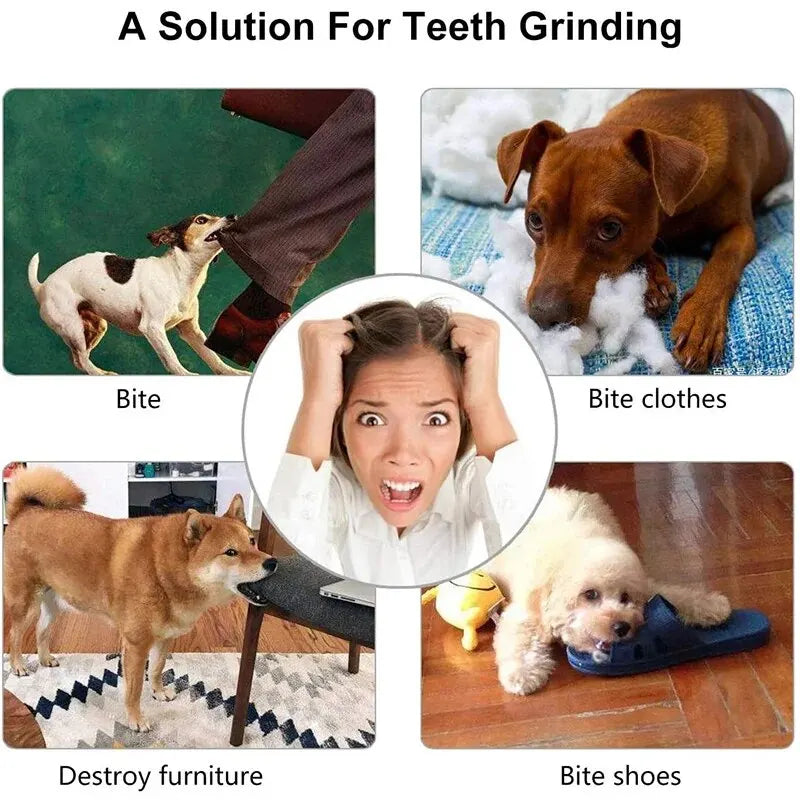 Nontoxic Rubber Dog Toy Ball Bite Resistant Chew Toy
