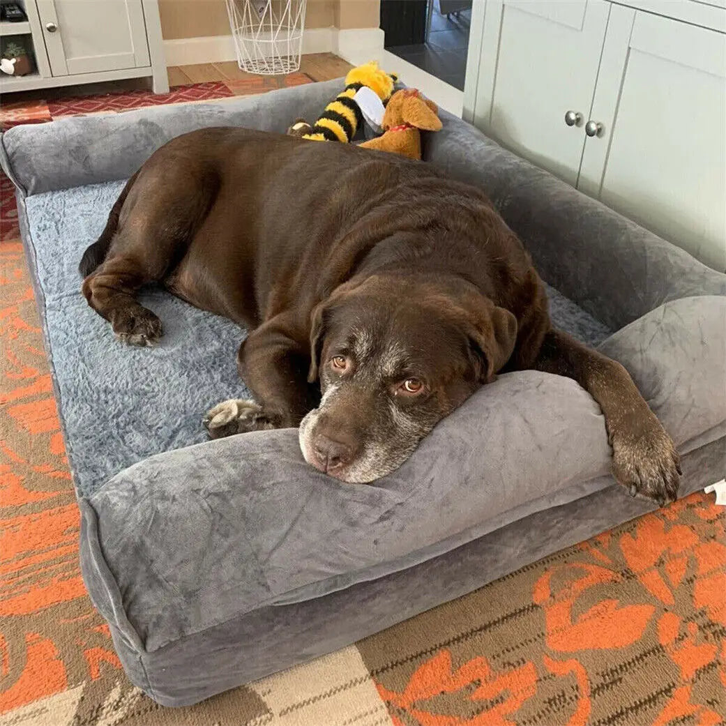 BINGOPAW Orthopedic Dog Bed Removable Cotton Cover Foam