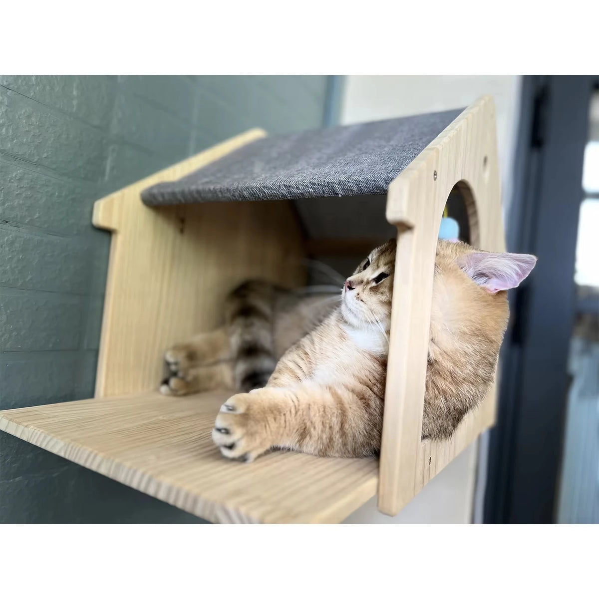 Wall Mounted Cat Condo Villa Wooden Cat Shelf For Sleeping