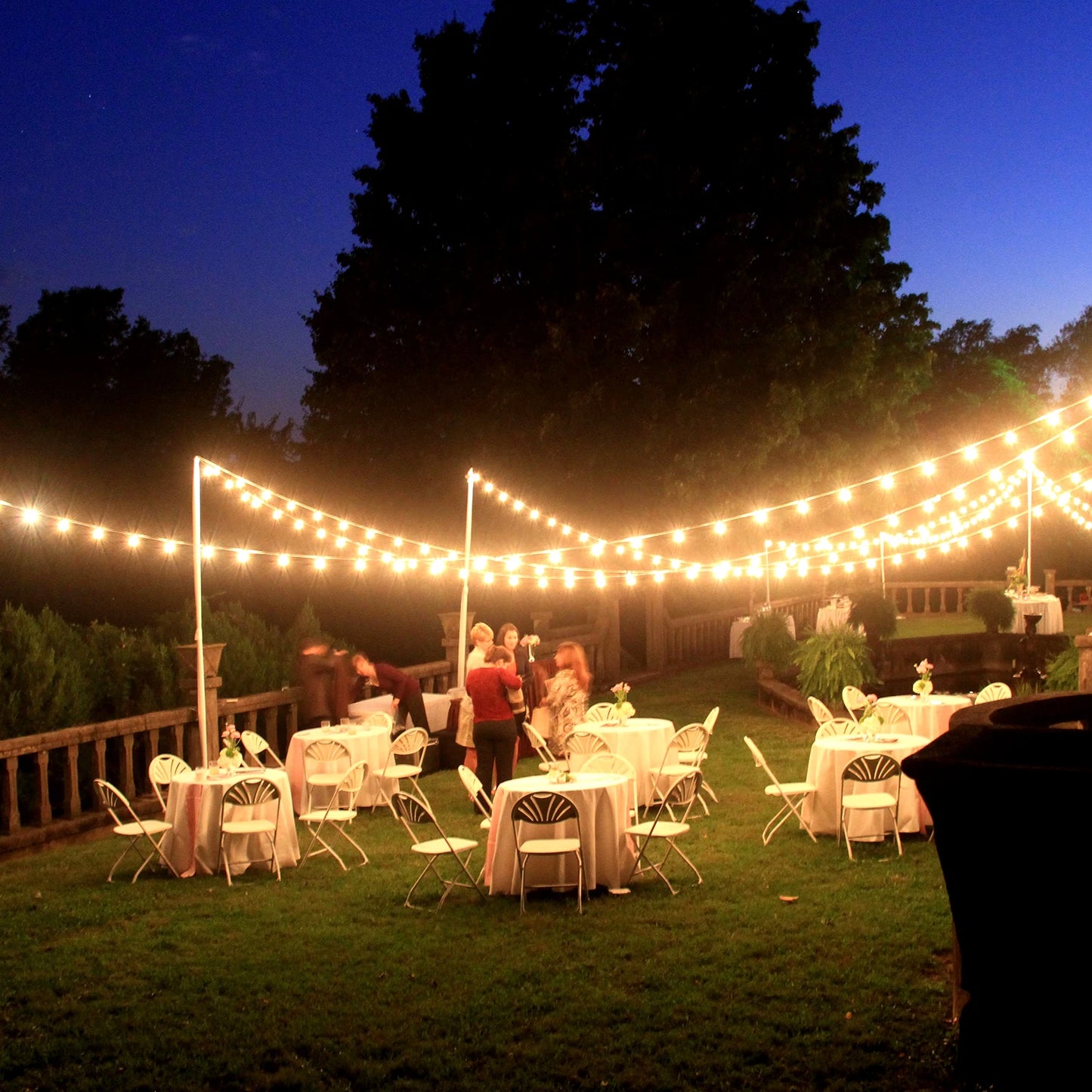 Premium LED Globe String Lights For Garden And Wedding Decor