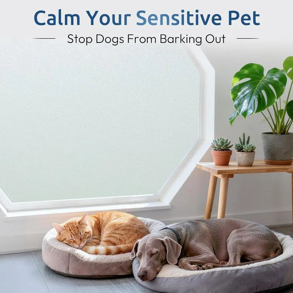Removable Frosted Privacy Window Film UV Blocking Heat Control