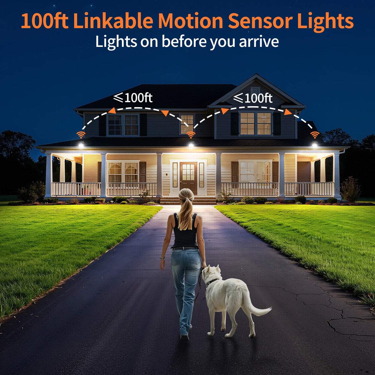 Intelamp Outdoor Solar Security Flood Light Dual Motion Sensor