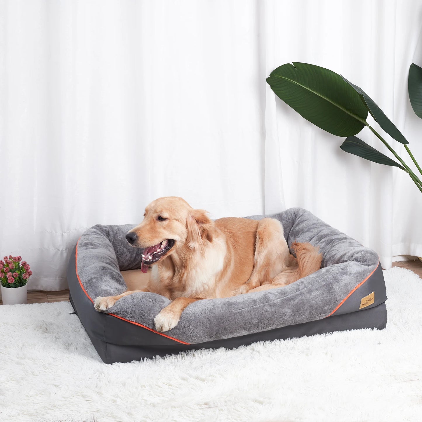 Bingopaw Large Soft Anti Allergy Washable Dog Bed With Removable Cover