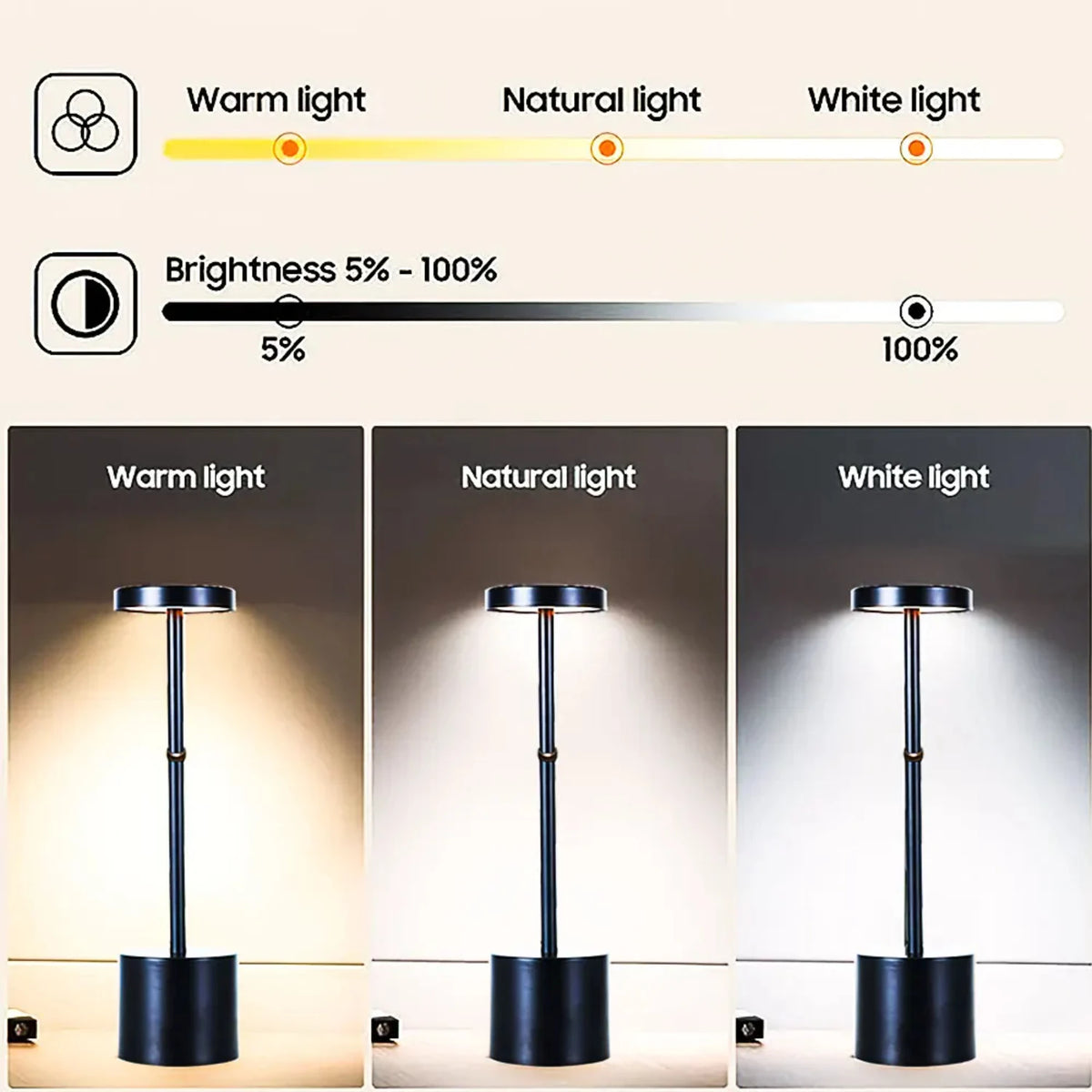 Nordic Style Retro Iron Desk Lamp With USB Charge