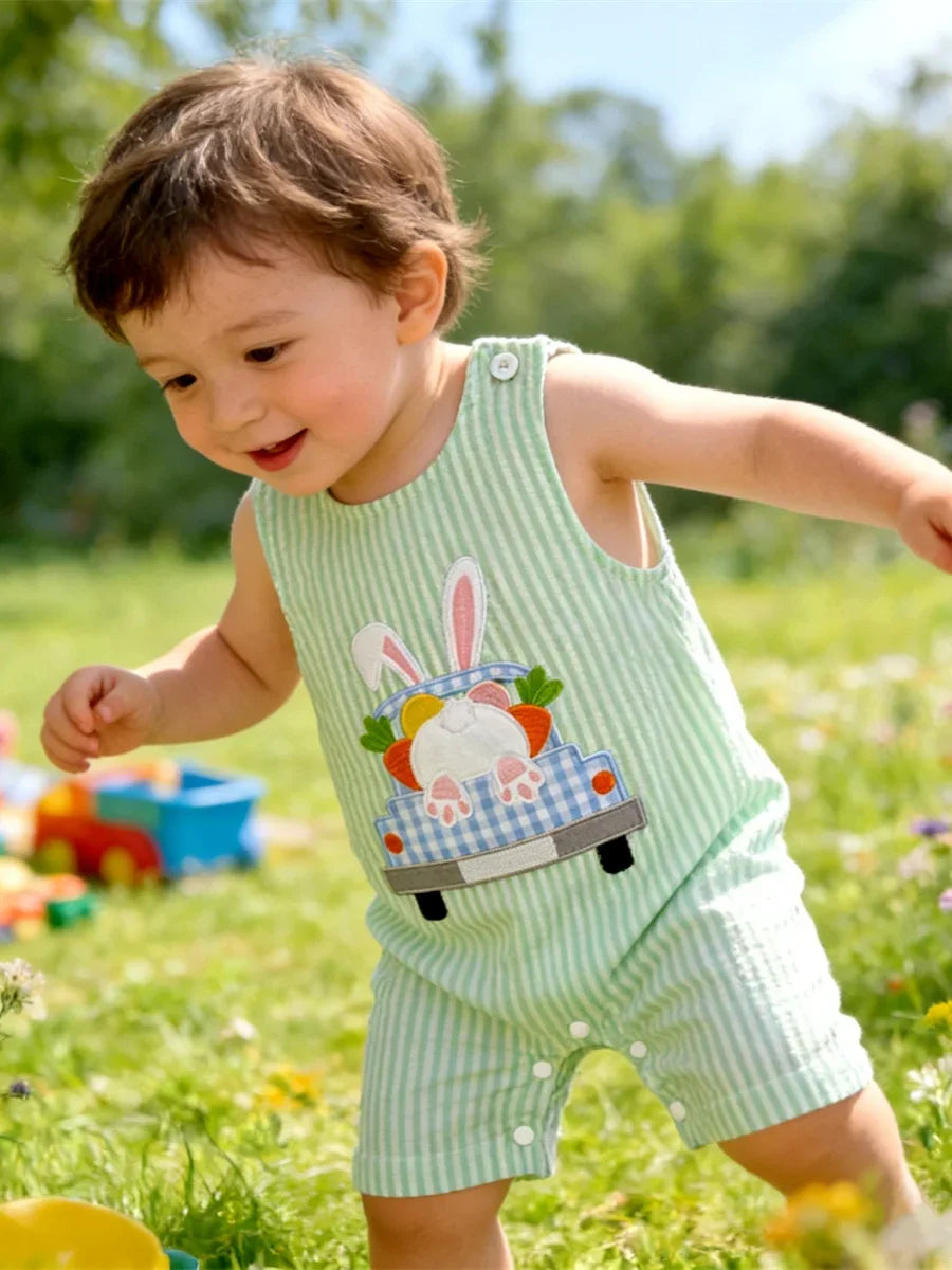 Soft Cotton Embroidered Baby Romper Button Up Summer Jumpsuit